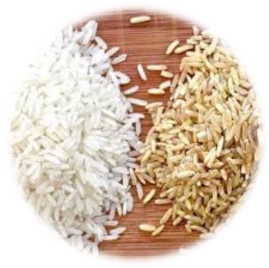 Белый рис VS Коричневый рис – Еда – Польза и вред – 4FRESH SCHOOL